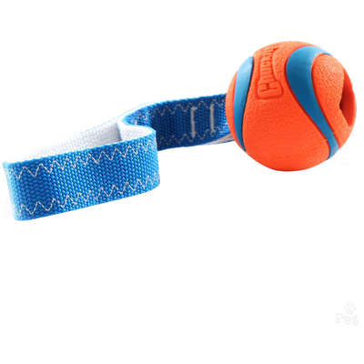 Brinquedo Chuckit Ultra Tug