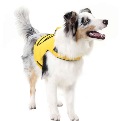 Colete Salva Vidas Sula Pet Premium Amarelo