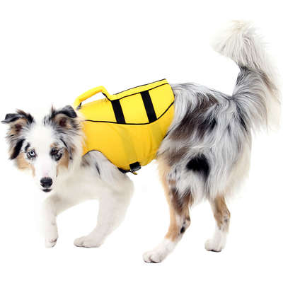 Colete Salva Vidas Sula Pet Premium Amarelo