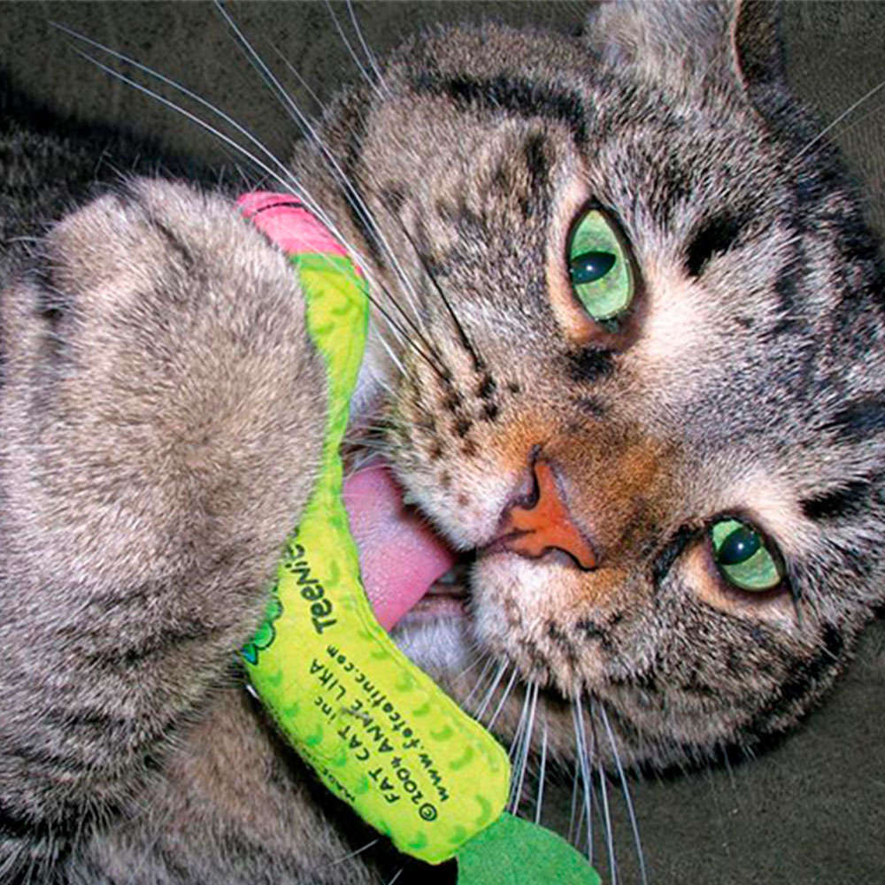 Brinquedo Fatcat Appeteasers Verde e Vermelho - Tam. Único