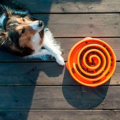 Comedouro e Bebedouro Outward Hound Fun Feeder Lento Laranja