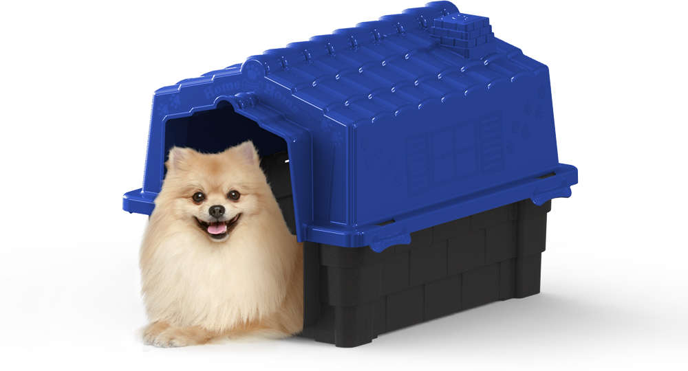 Casa Pet Injet Prime Colors Dog House Evolution Azul - Tam. 03
