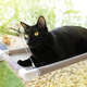 Cama Gatton Catbed Aloha para Gatos
