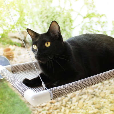 Cama Gatton Catbed Aloha para Gatos