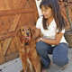 Coleira Amicus Pet Safe Antilatido