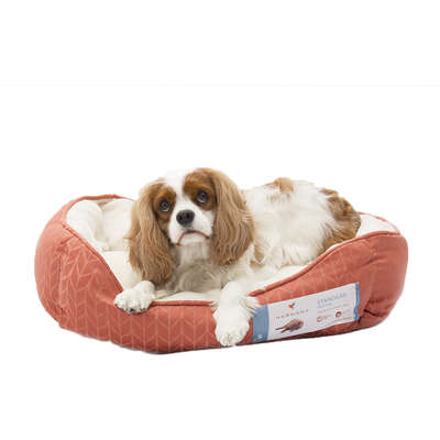 Cama Petco Harmony Ferrugem para Cães e Gatos