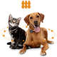 Rastreador Pet DL para Animais de Estimação GPS Via APP Android/iOS (GX250PRE) Preto