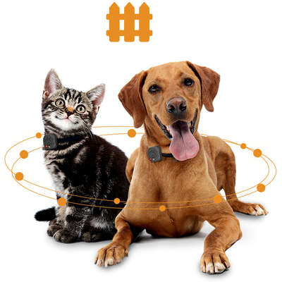 Rastreador Pet DL para Animais de Estimação GPS Via APP Android/iOS (GX250PRE) Preto