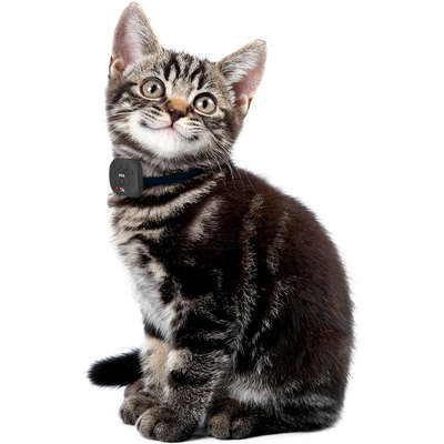 Rastreador Pet DL para Animais de Estimação GPS Via APP Android/iOS (GX250PRE) Preto