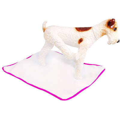 Tapete Higiênico Pet Wash São Benedito Pet Lavável - Rosa