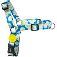 Peitoral Dog27 Daisy - Tam. P