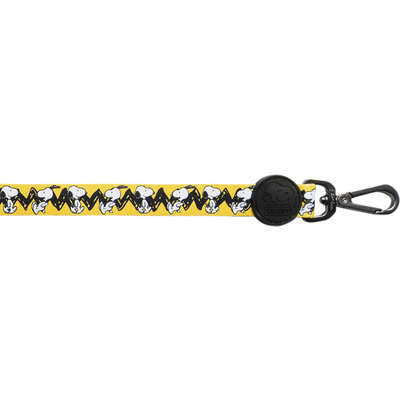 Guia Zooz Pets Snoopy Charlie Brown