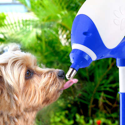 Bebedouro Bilha Truqys Pets Lambe Lambe Azul