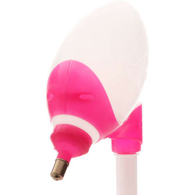 Bebedouro Bilha Truqys Pets Lambe Lambe Rosa