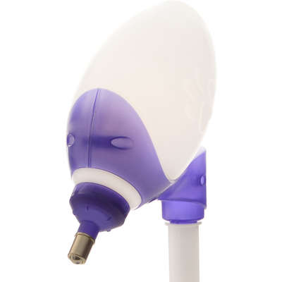 Bebedouro Bilha Truqys Pets Lambe Lambe Roxo