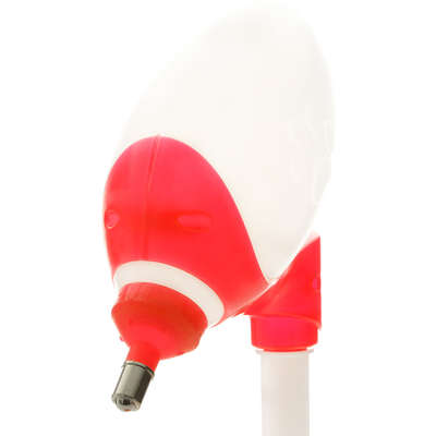 Bebedouro Bilha Truqys Pets Lambe Lambe Vermelho