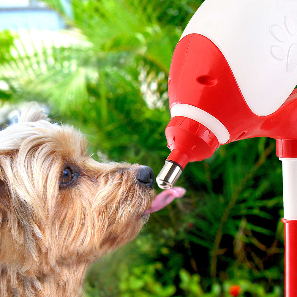 Bebedouro Bilha Truqys Pets Lambe Lambe Vermelho - 1 Litro