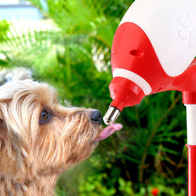 Bebedouro Bilha Truqys Pets Lambe Lambe Vermelho