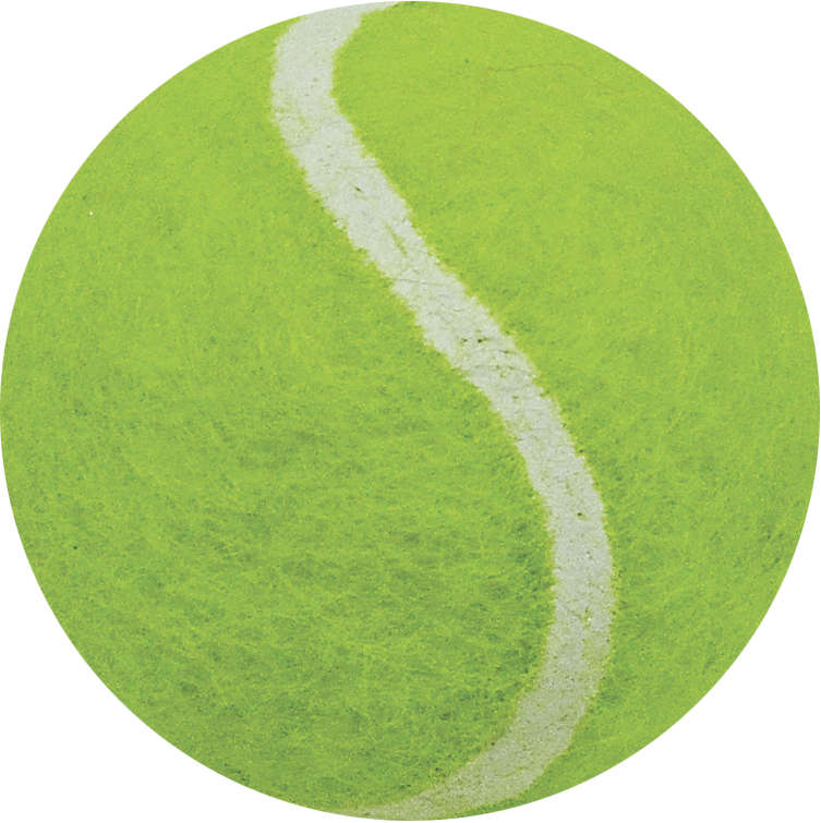 Brinquedo LCM Bola de Tênis Mini Amarela - Tam. Único