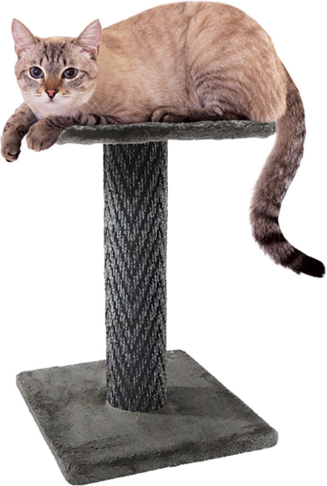 Brinquedo Arranhador The Pets Brasil Andar Suspenso - Cinza