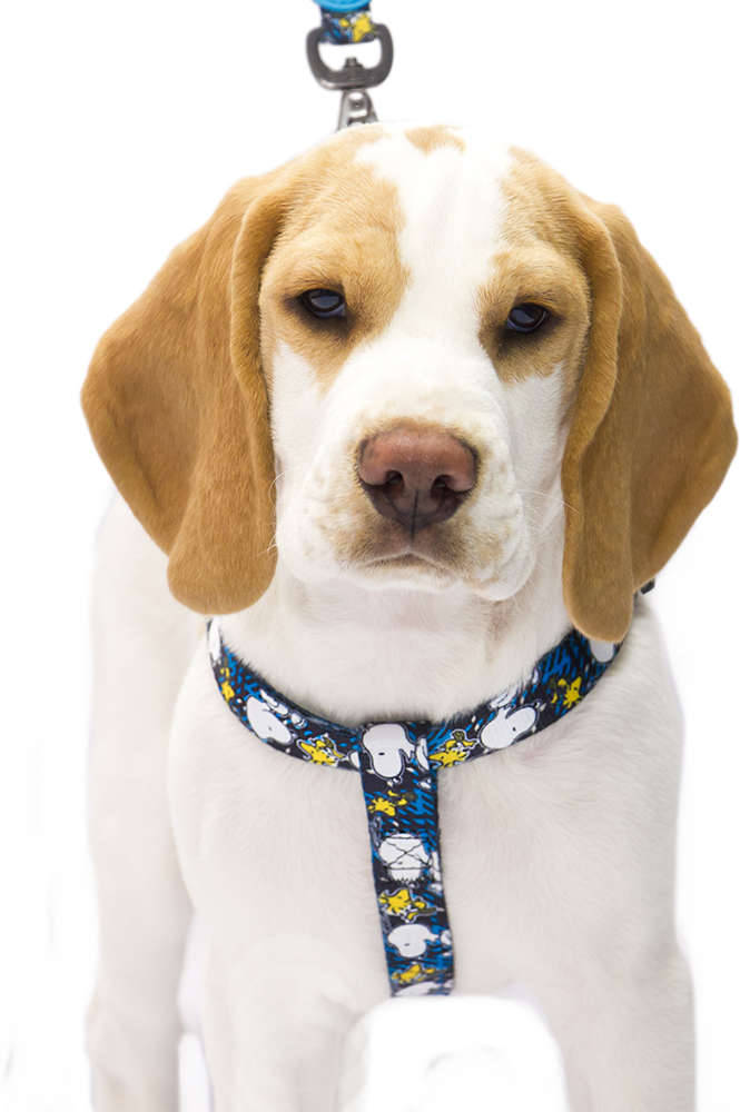 Peitoral Zooz Pets Snoopy Xablue - Tam. PP