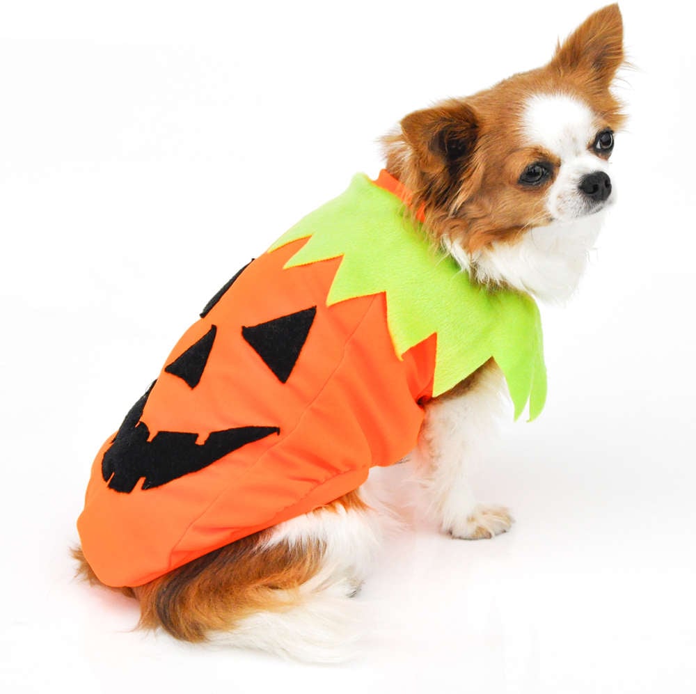 Camiseta Bichinho Chic Abóbora Halloween - Tam. 10