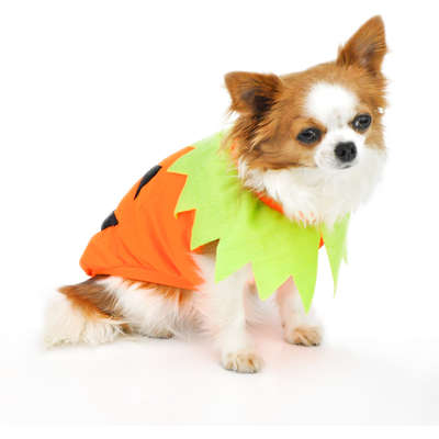 Camiseta Bichinho Chic Abóbora Halloween