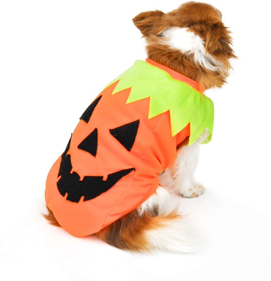 Camiseta Bichinho Chic Abóbora Halloween - Tam. 10