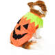 Camiseta Bichinho Chic Abóbora Halloween