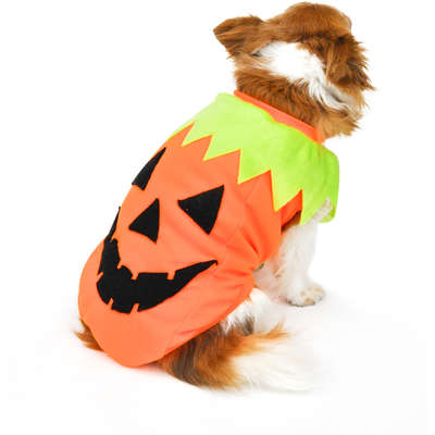 Camiseta Bichinho Chic Abóbora Halloween