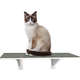Prateleira Hello Pet com Carpete para Gatos