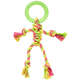 Brinquedo Home Pet Argola com Corda