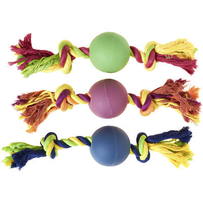 Brinquedo Home Pet Bola Dental Bone