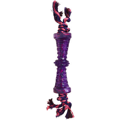 Brinquedo Home Pet Cone com Corda