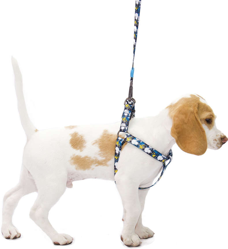 Peitoral Zooz Pets Snoopy Xablue - Tam. PP