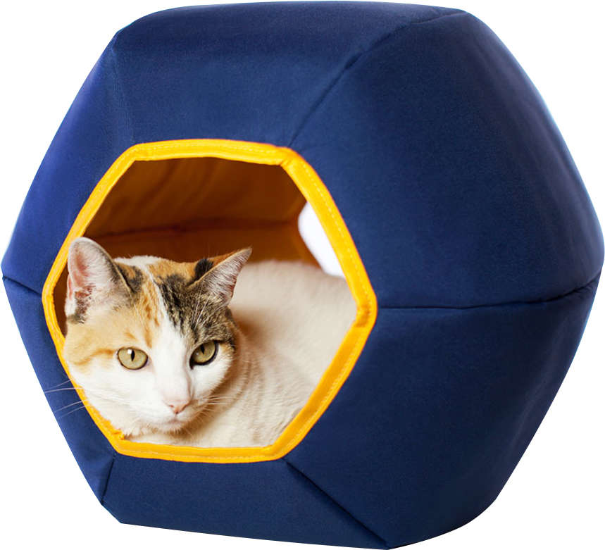 Toca Mundi Gatton Azul para Gatos - Azul
