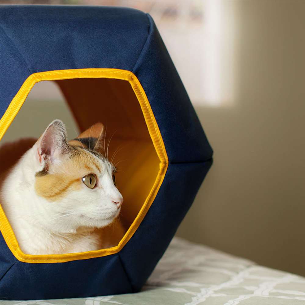 Toca Mundi Gatton Azul para Gatos - Azul