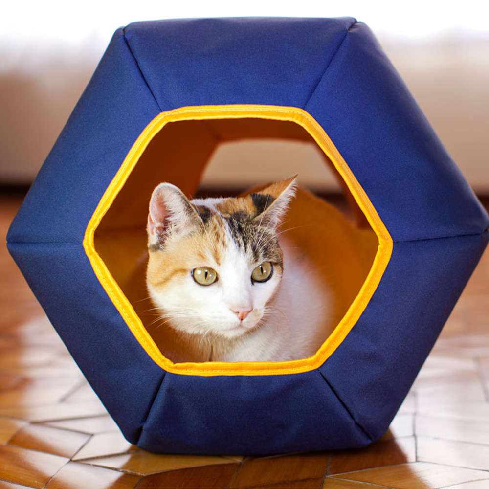 Toca Mundi Gatton Azul para Gatos - Azul