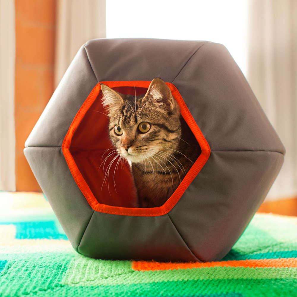 Toca Mundi Gatton Cinza para Gatos - Cinza