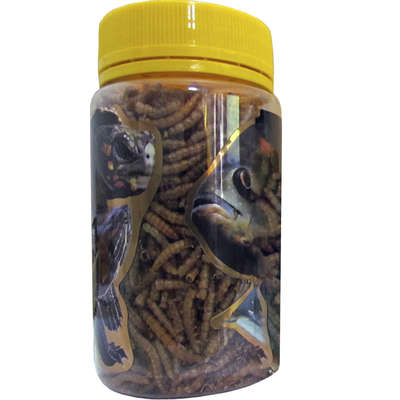 Ração Mega Food Tenébrio para Repteis e Peixes - 30 g
