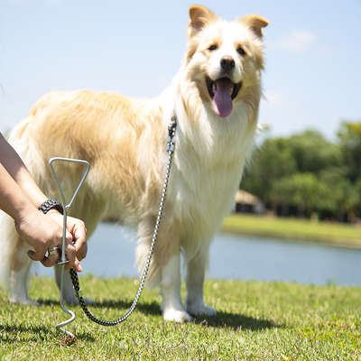 Pet Stop NF Pet Espiral para Prender Guias