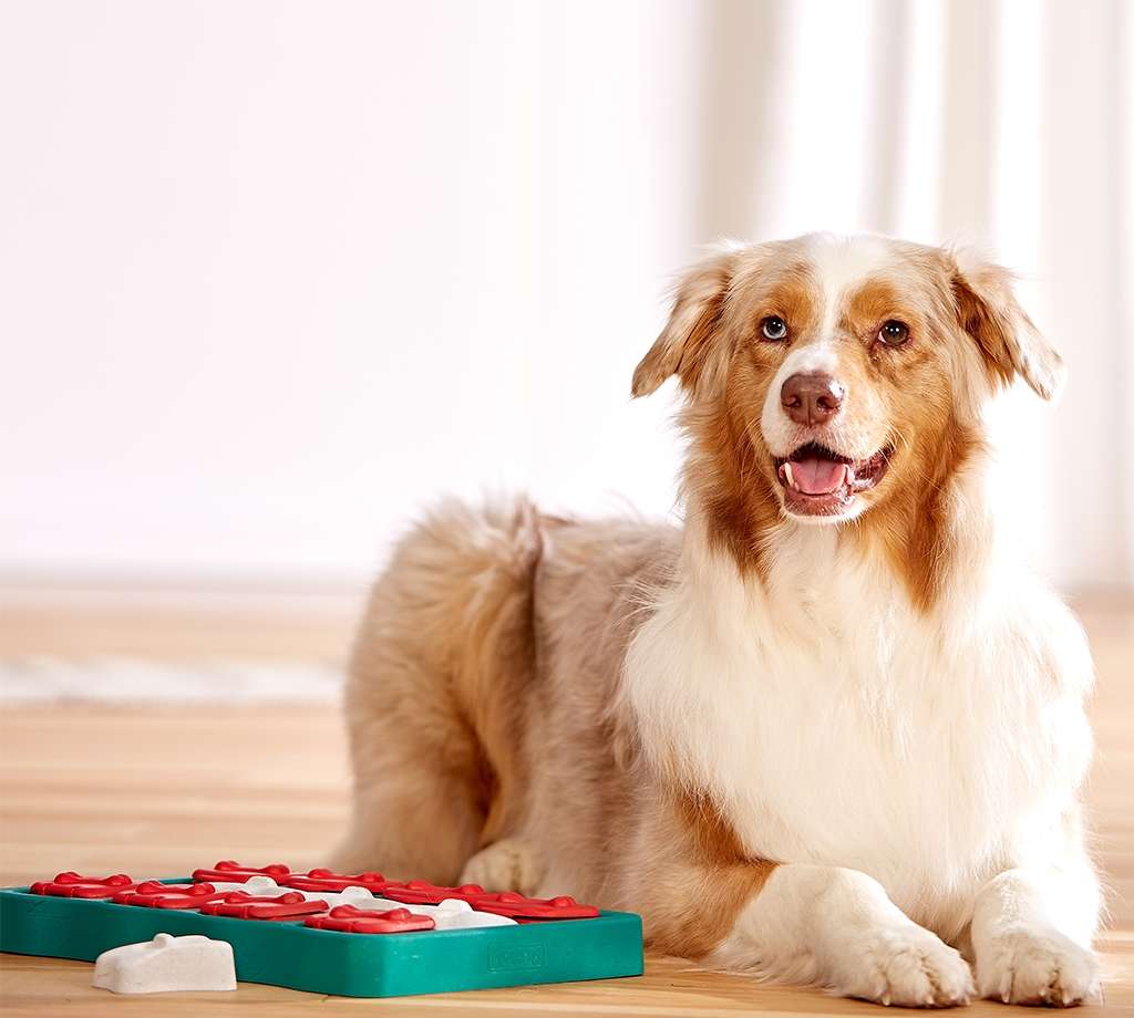 Brinquedo Outward Hound Jogo Inteligente de Tijolinhos - Tam. Único