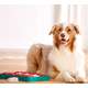 Brinquedo Outward Hound Jogo Inteligente de Tijolinhos