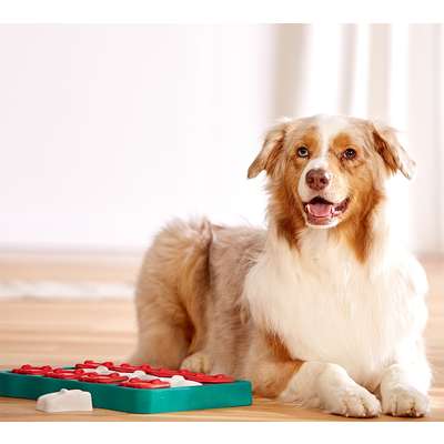 Brinquedo Outward Hound Jogo Inteligente de Tijolinhos