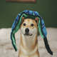 Brinquedo Outward Hound Invincibles Cobra Azul e Verde