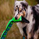 Brinquedo Outward Hound Invincibles Cobra Azul e Verde