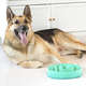 Comedouro e Bebedouro Outward Hound Fun Feeder Lento Verde