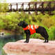 Colete Salva Vidas Outward Hound Nemo Ripstop para Cachorro