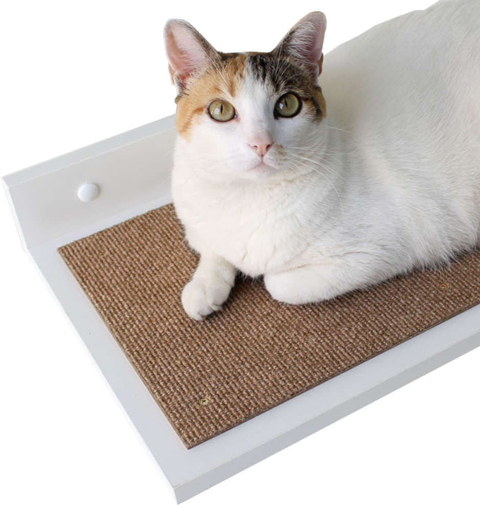 Escada Gatton HomeCat Prateleiras Branca para Gatos - 3 peças
