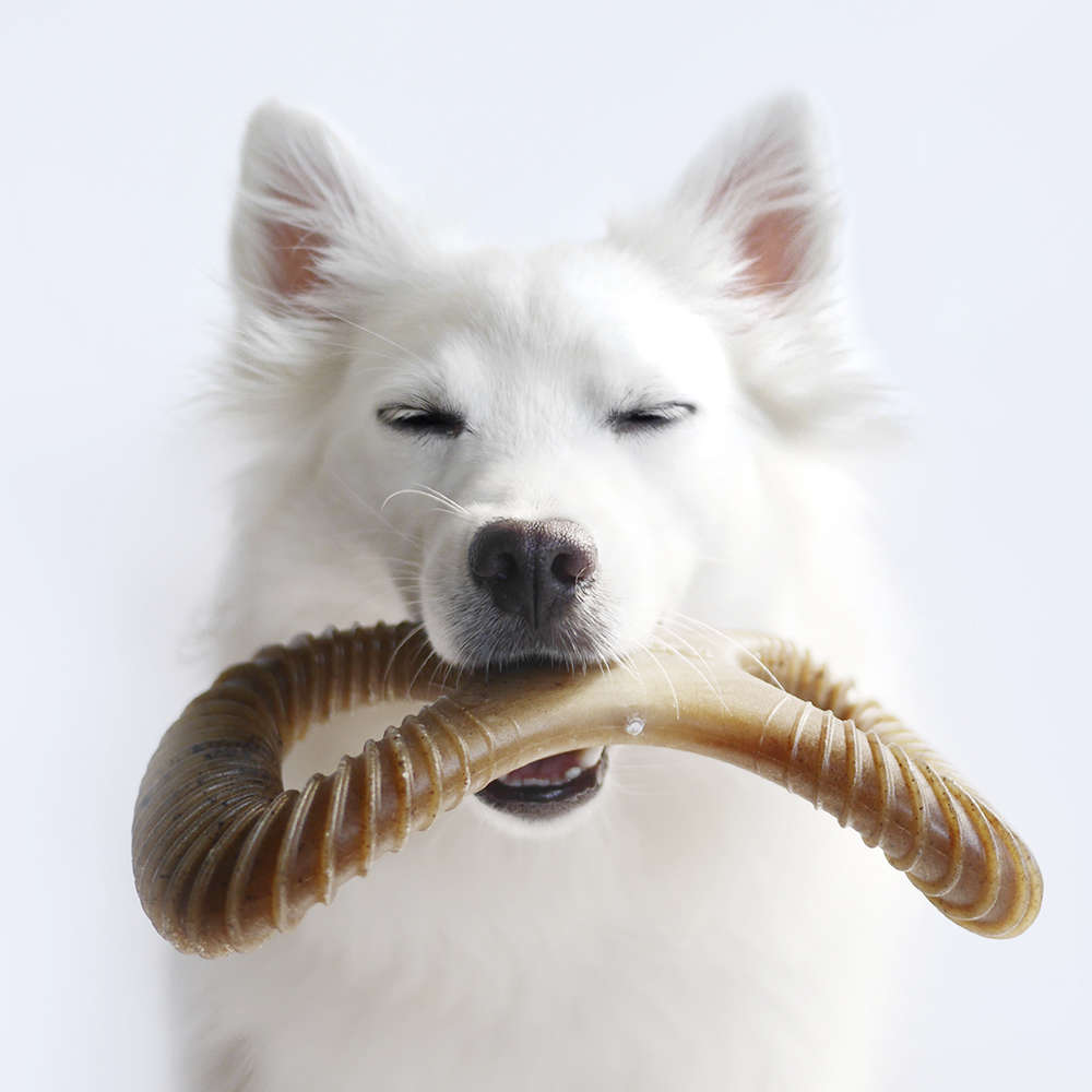 Brinquedo Benebone Dental Chew Bacon (BB860350) - Tam. M